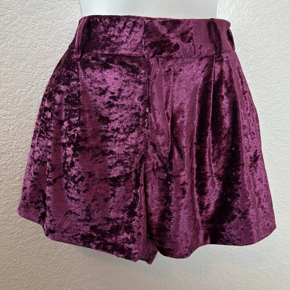 Free People Roma Velvet Shorts Size Small NWOT - Picture 3 of 9